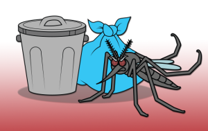 dengue