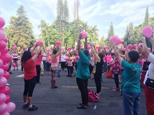 Em 2O15, caminhada reuniu cerca de 3OO participantes - foto divulgação