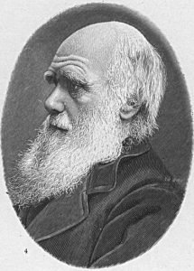 hw-darwin